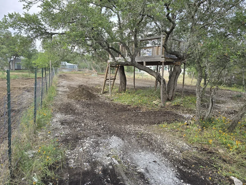 Cleared fence line under oaks with the trees kept, cedar clearing