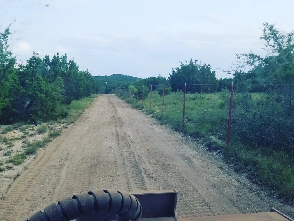 Cleared dirt strip running beside a barbed wire fence through cedar, seen from the machine, fence line clearing