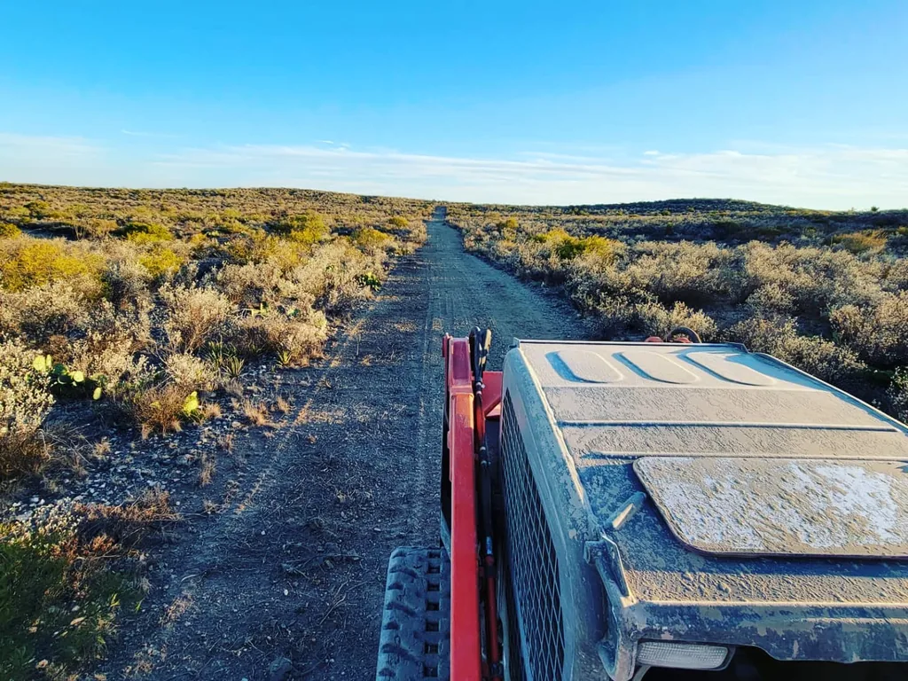 Long straight strip cleared through brush, seen from a tracked skid steer, fence line clearing