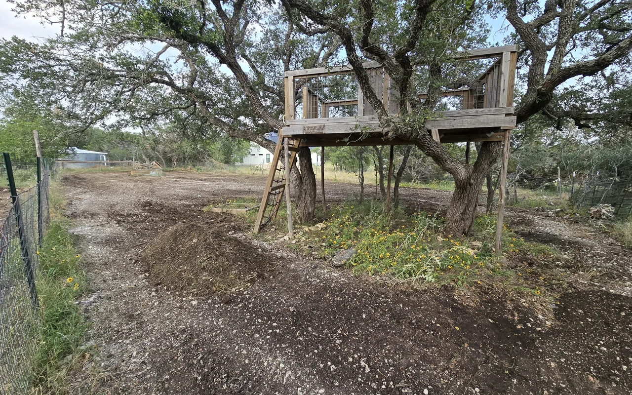 Freshly cleared strip along a wire fence under oaks, with a deer stand beside it, fence line clearing