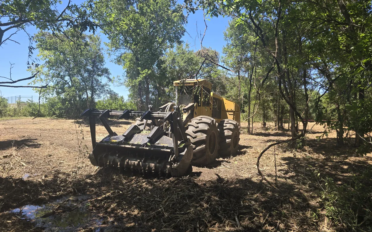 Wheeled forestry mulcher under trees on freshly mulched ground, forestry mulching