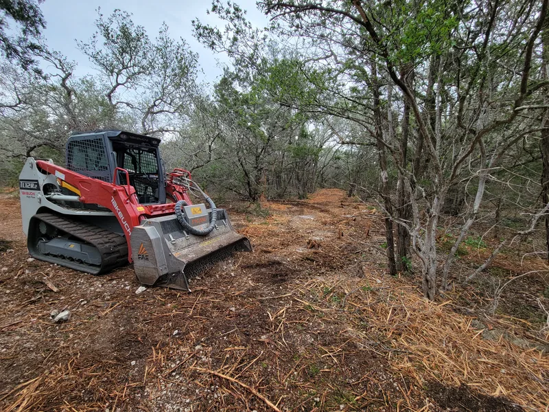 Tracked skid steer mulcher in a lane cut through cedar and brush, forestry mulching