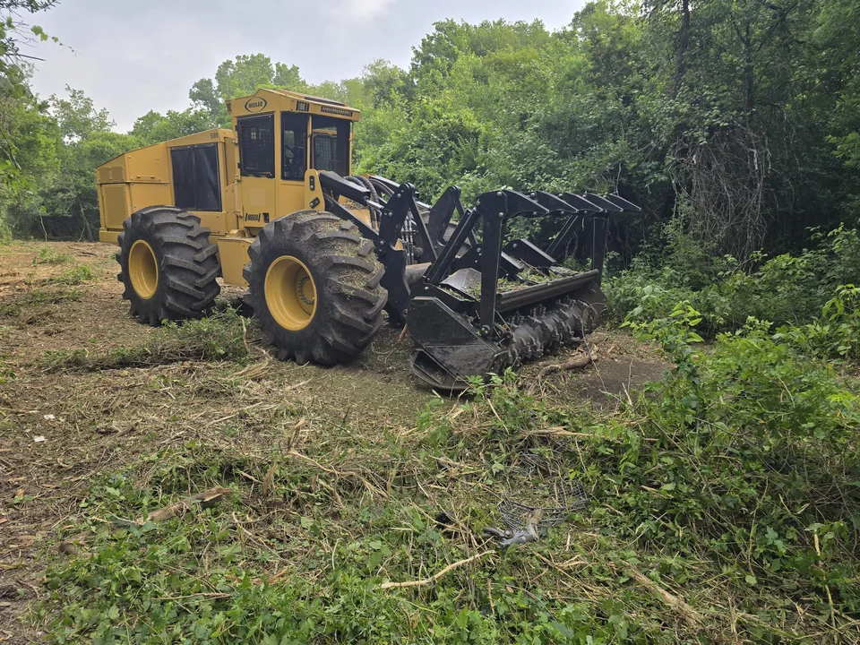 Wheeled forestry mulcher in green brush with freshly mulched ground in front, forestry mulching