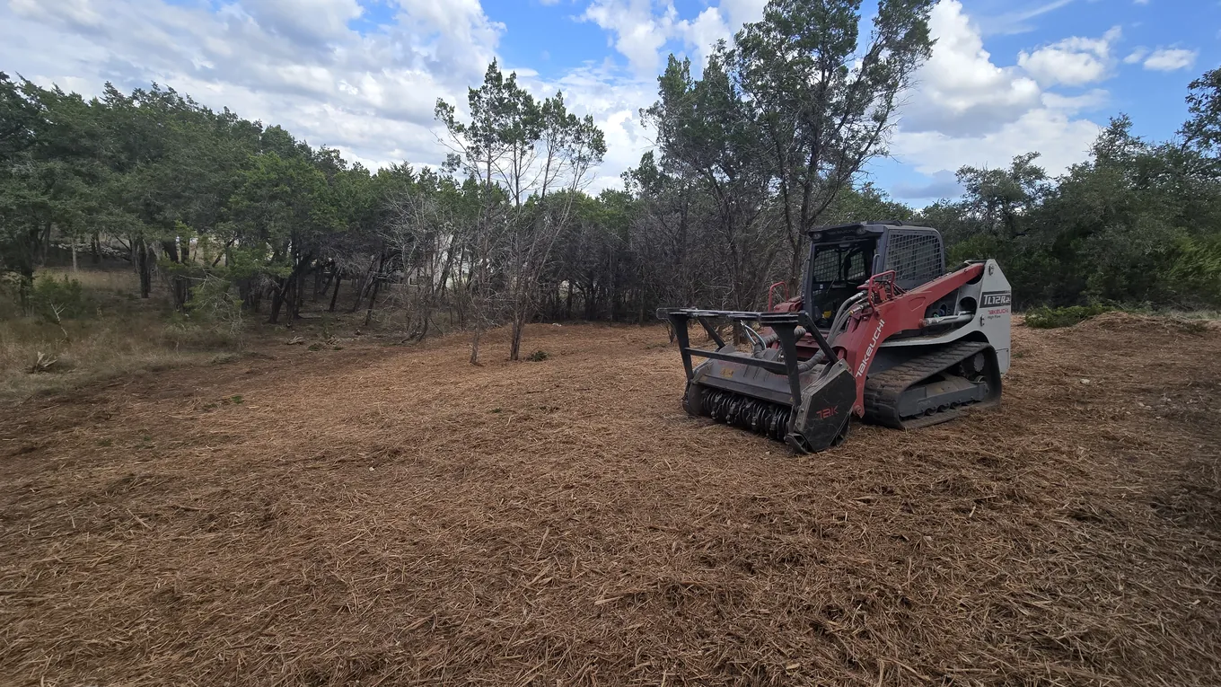 Skid steer mulcher on freshly mulched ground with the trees kept, land clearing in Smithville, TX